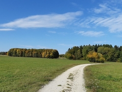 Im Herbst 2019 (12)